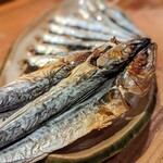 アナゴちらし小町 - 