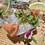 kitchen俊貴 - 鱸のカルパッチョ