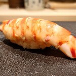 島津 - 鹿児島甑島の車海老