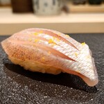 島津 - 神奈川の春子鯛