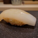 島津 - 東京湾の墨烏賊