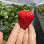 姫路ハートフル観光農園 - 