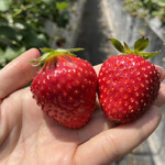 姫路ハートフル観光農園 - 