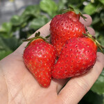 姫路ハートフル観光農園 - 