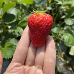 姫路ハートフル観光農園 - 