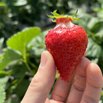 姫路ハートフル観光農園 - 