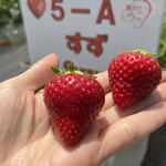 姫路ハートフル観光農園 - 