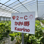 姫路ハートフル観光農園 - 