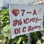 姫路ハートフル観光農園 - 