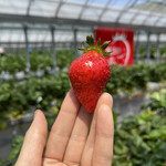 姫路ハートフル観光農園 - 