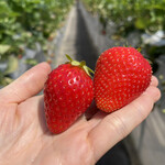 姫路ハートフル観光農園 - 