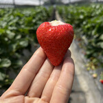 姫路ハートフル観光農園 - 