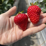 姫路ハートフル観光農園 - 