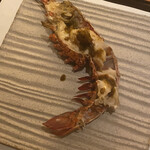 No’age concentre - 