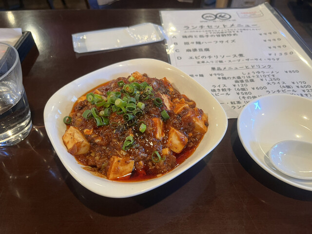 Chugoku Sai Tsubame photo 2