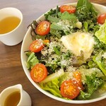 O-Ganikku Sarada Kafe Azabu Shimazakiya - ブッラータのサラダ