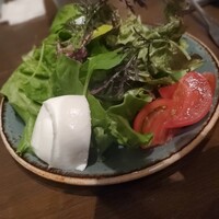 オービカ モッツァレラバー 梅田店 - 