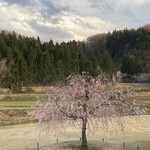 江口だんご本店 - 