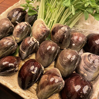 桑名蛤料理・蛤しゃぶしゃぶ 貝新 - はまぐりしゃぶしゃぶ