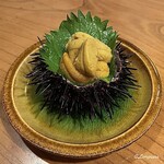 千陽 - 宿戸産の殻付き海胆