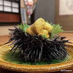 千陽 - 宿戸産の殻付き海胆