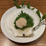 千陽 - 野田産の活けの帆立貝柱