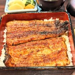 うなぎ 魚政 - 