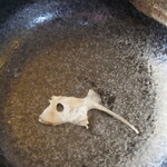 家庭料理 うさぎや - 鯛の中の"鯛"