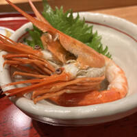 すし屋のさい藤 札幌本店 - 