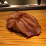 Tomidokoro - 赤貝