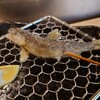 和食と串揚げ 六角亭 - 料理写真:稚鮎