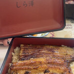 Unagi Shirasawa - 