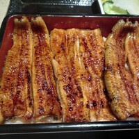 うなぎ 目白ぞろ芽 - 