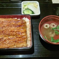 うなぎ 目白ぞろ芽 - 