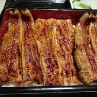 うなぎ 目白ぞろ芽 - 