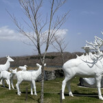 ウポポイ - 遠くで見たら本物かと驚きました。