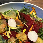 Kyukaruizawa KIKYO Curio Collection by Hilton