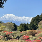 つつじの茶屋 - 