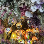 Cafe 蒼 松山店 - 