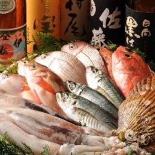 毎朝豊洲で直買い★朝獲れ鮮魚