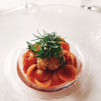 サーラ アマービレ - 