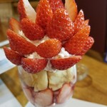 ふぐ料理・鮨 光 - 