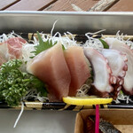 魚太郎 浜焼きバーベキュー  - 鯛とびんちょうまぐろ 真蛸