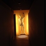 ヴィヴァッカス - 