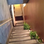 ヴィヴァッカス - 