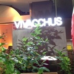 Vivacchus - 