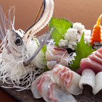 Mumon - 《新鮮なお魚は産地直送》おいしいお魚、お酒をお楽しみください。