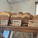 ラコルタ カフェ ベーカリー - パン