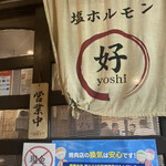 Yoshi chan - 
