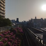 一〇そば - 暗い時間帯がメインだったから違和感あるな